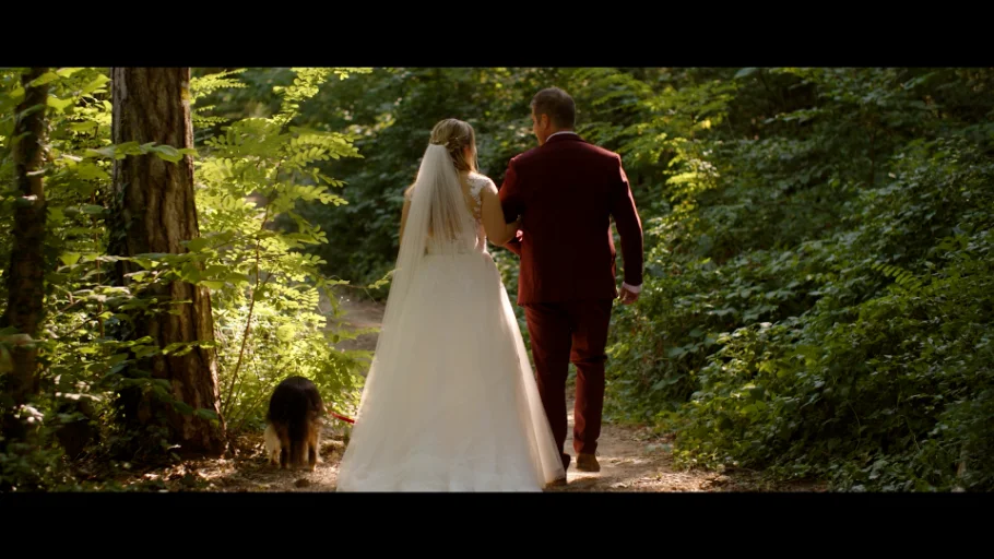 Brautpaar mit Hund auf einem sonnigen Waldweg, Braut im weißen Kleid mit langem Schleier, Bräutigam im weinroten Anzug – Standbild aus dem Hochzeitsvideo von Sabrina und Dominik in Wien